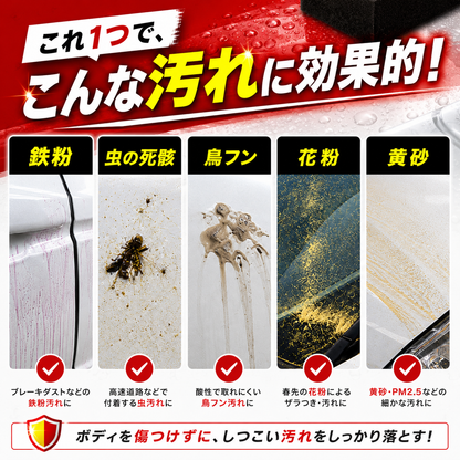 落とせる汚れの写真一覧。鉄粉、虫の死骸、鳥フン、花粉、黄砂