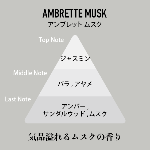 アンブレットムスク（AMBRETTE MUSK）の香調図。Top Note ジャスミン、Middle Note バラ・アヤメ、Last Note アンバー・サンダルウッド・ムスク。気品あふれるムスクの香り
